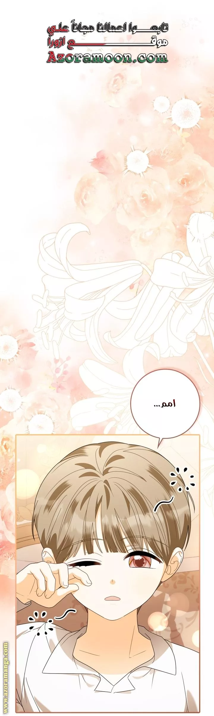 الصفحة 17