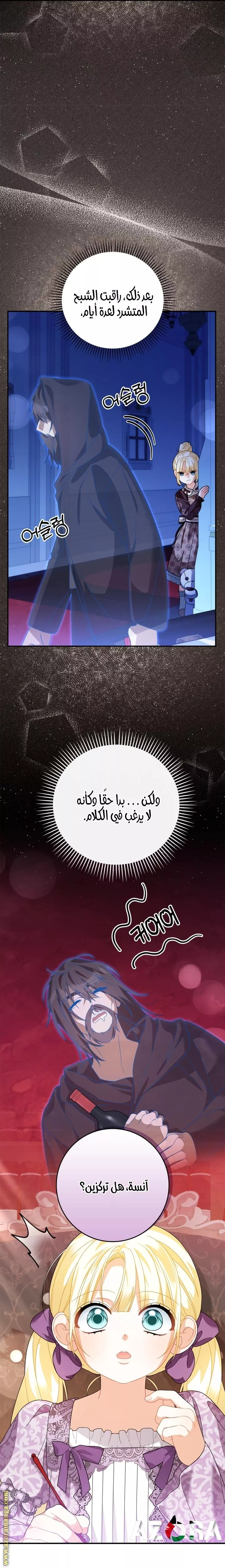 الصفحة 17