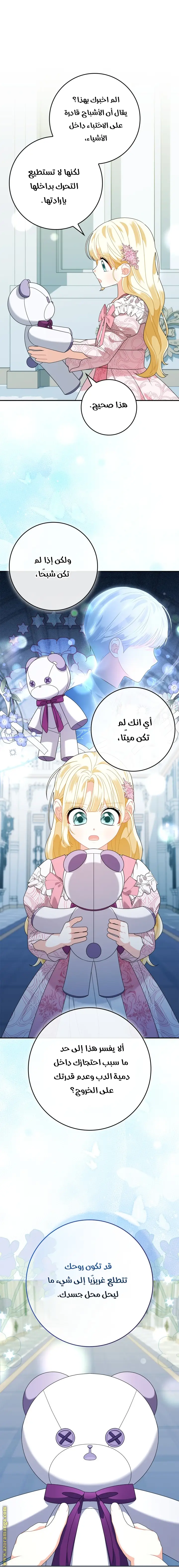 الصفحة 13