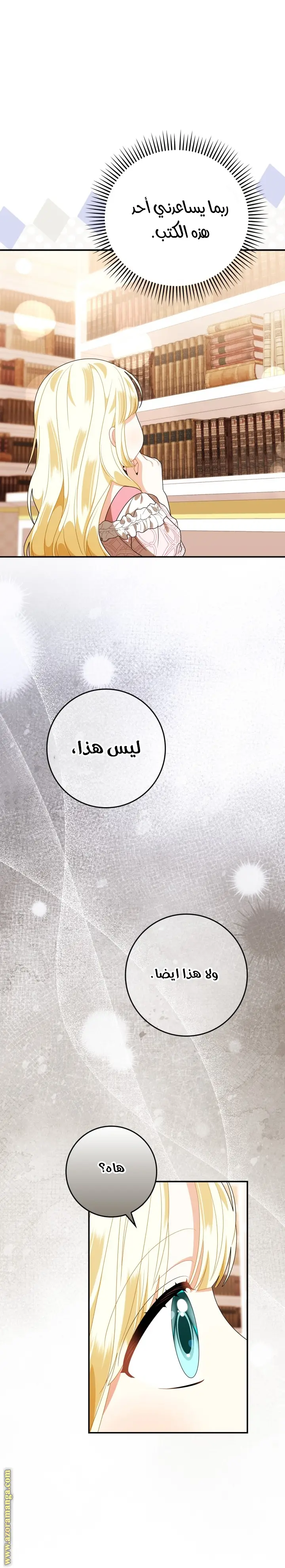 الصفحة 22