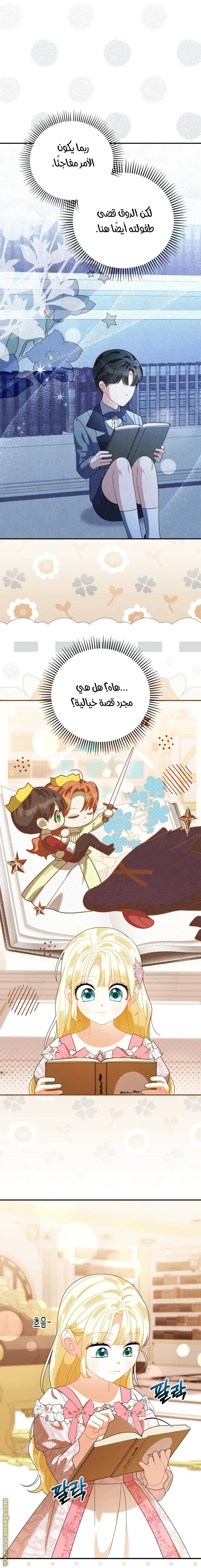 الصفحة 26