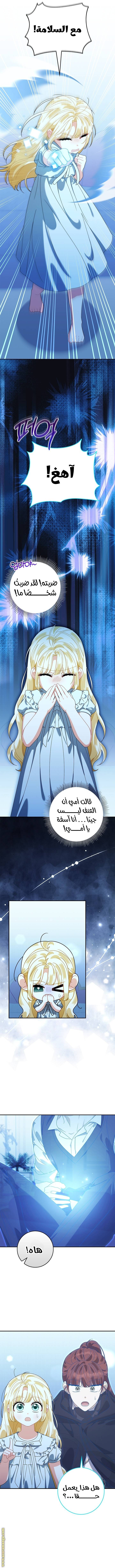 الصفحة 14