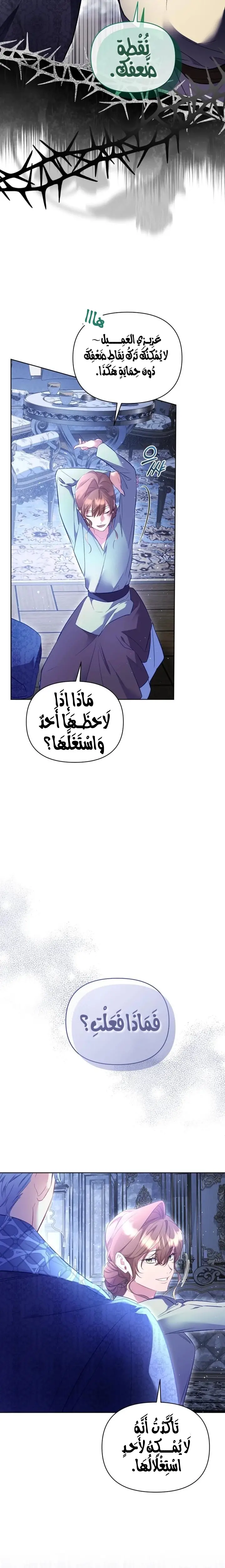 الصفحة 3