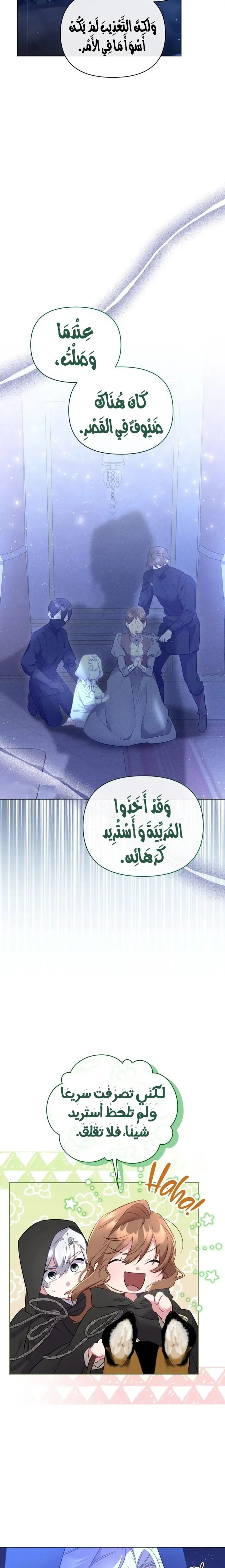 الصفحة 17
