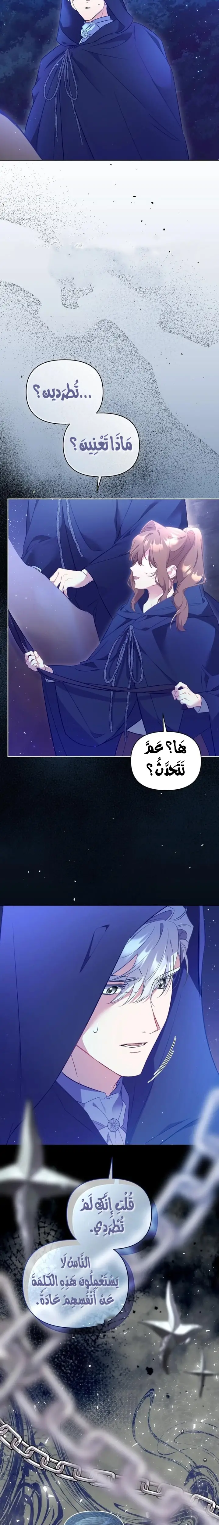 الصفحة 21