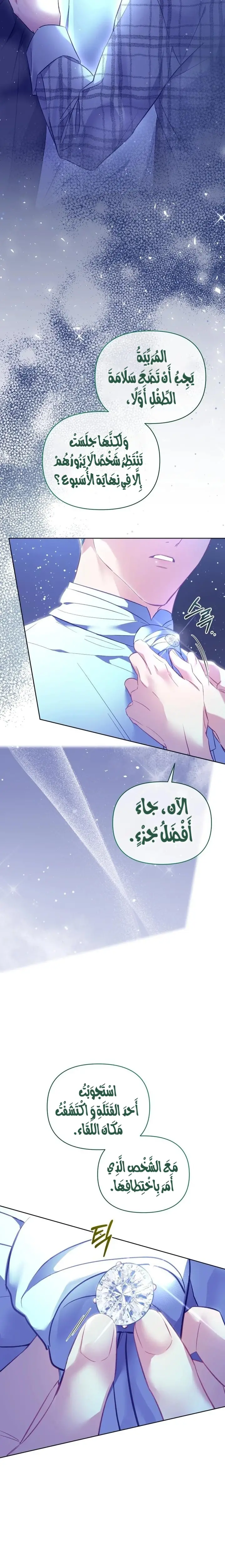 الصفحة 26