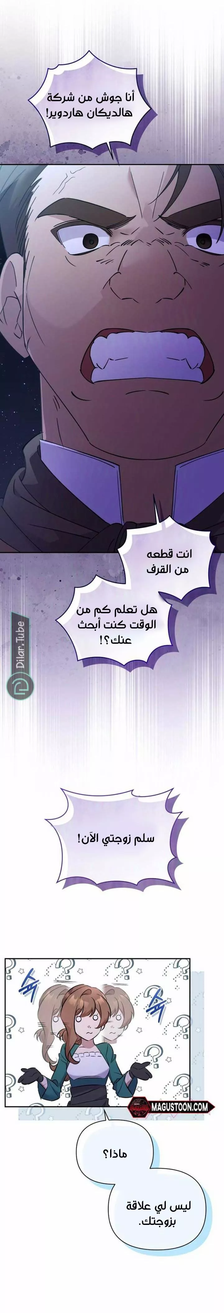 الصفحة 12