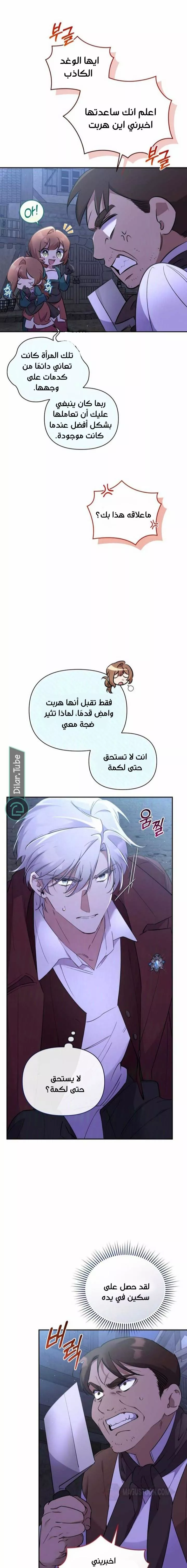 الصفحة 13