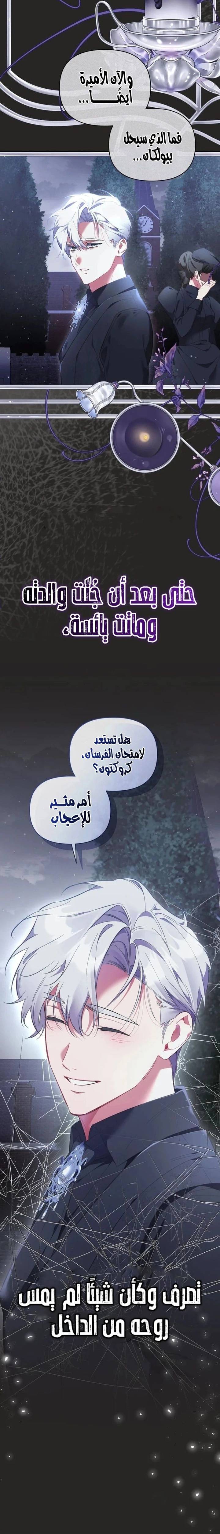 الصفحة 12
