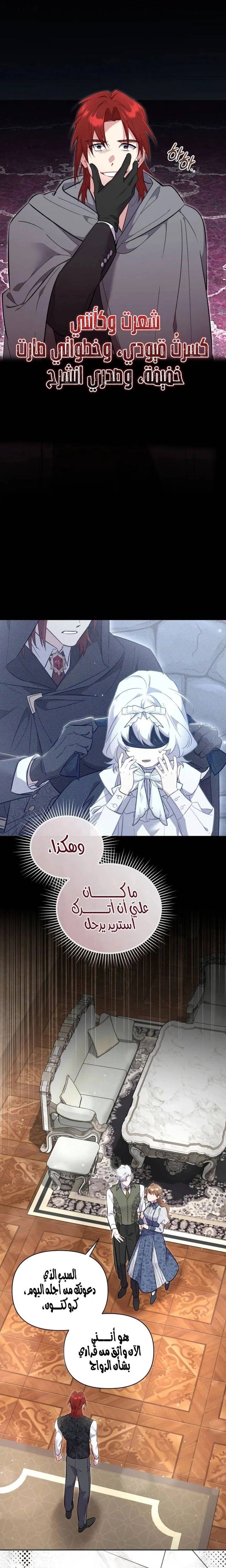 الصفحة 19