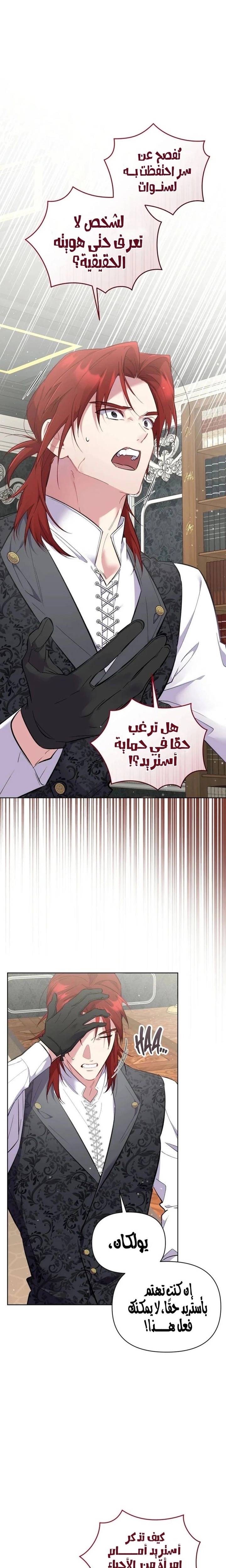 الصفحة 25
