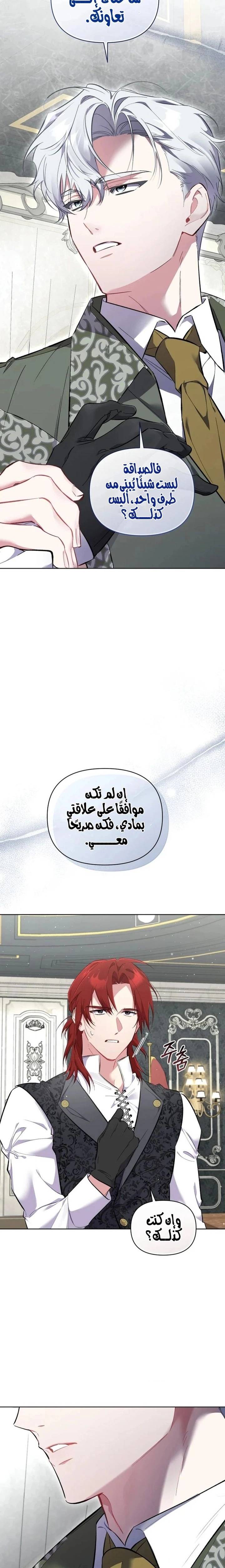 الصفحة 29