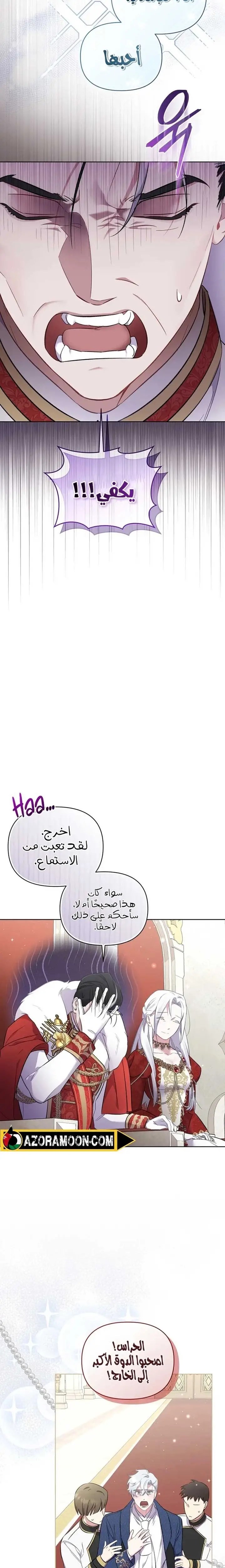 الصفحة 11
