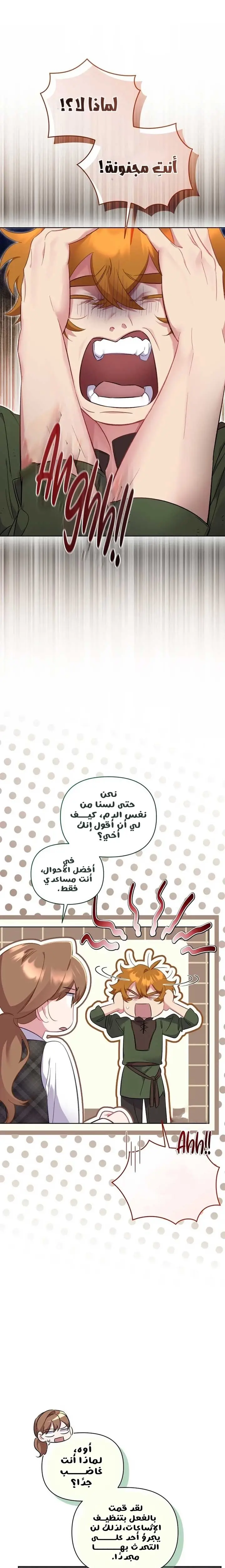 الصفحة 16