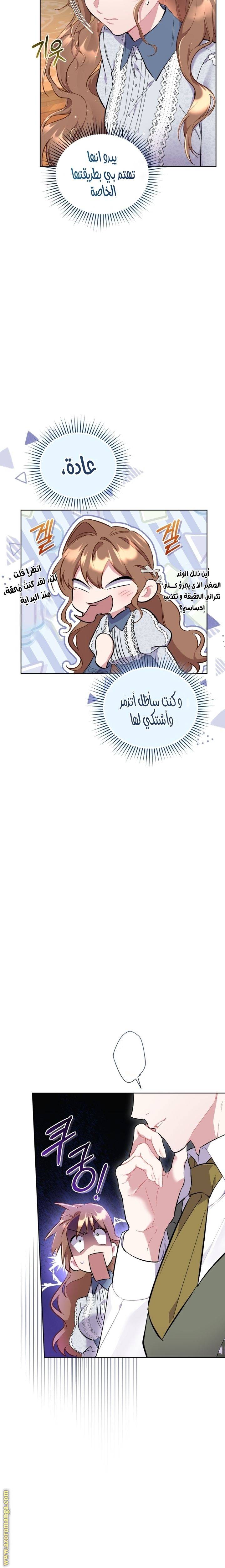 الصفحة 17
