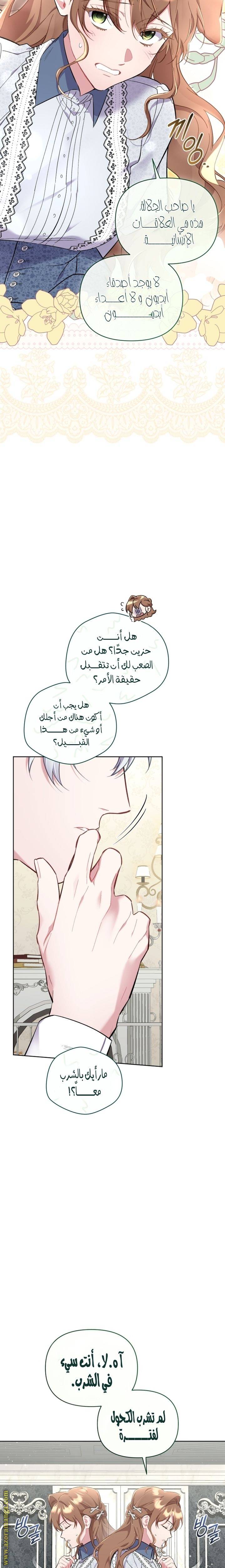 الصفحة 19