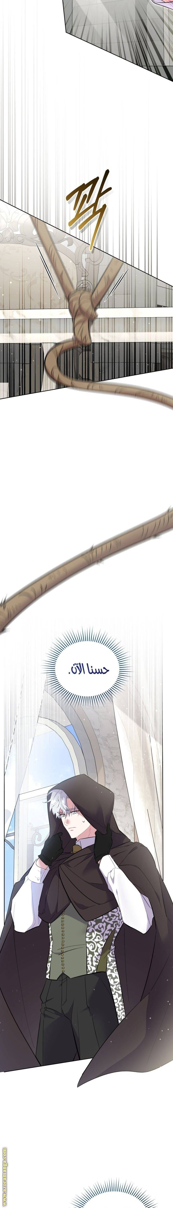 الصفحة 25