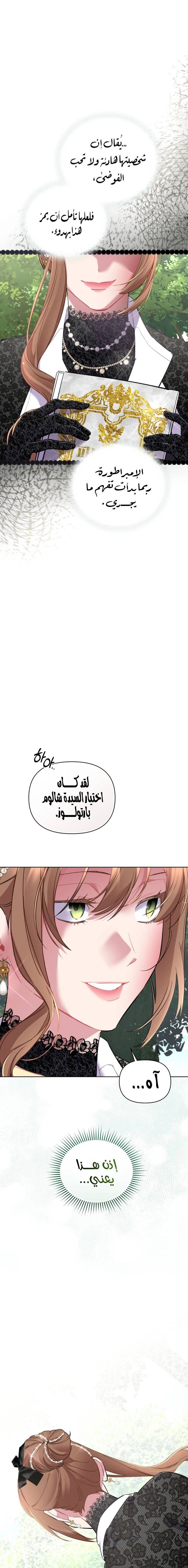 الصفحة 14