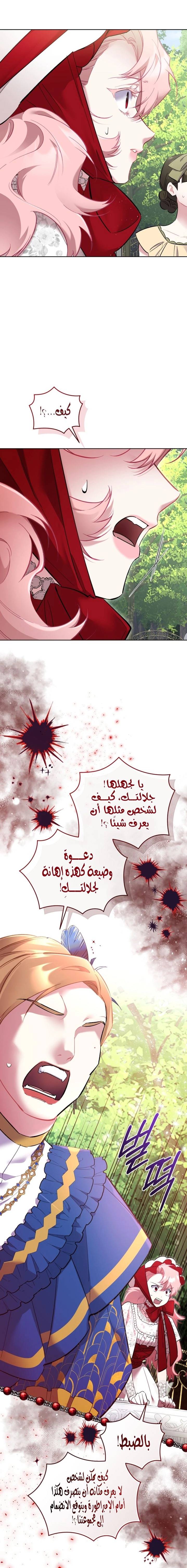 الصفحة 19