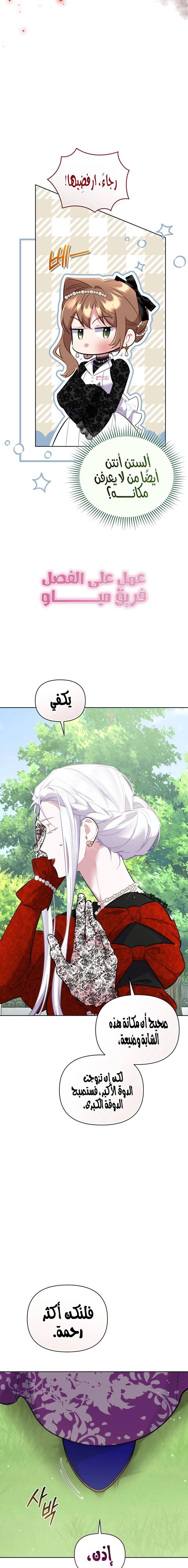 الصفحة 20