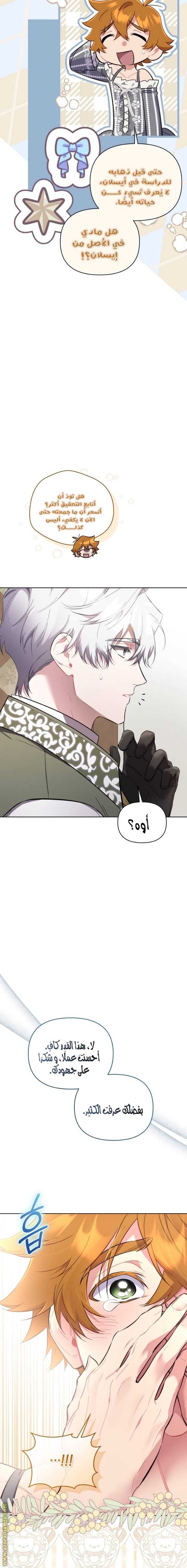 الصفحة 13