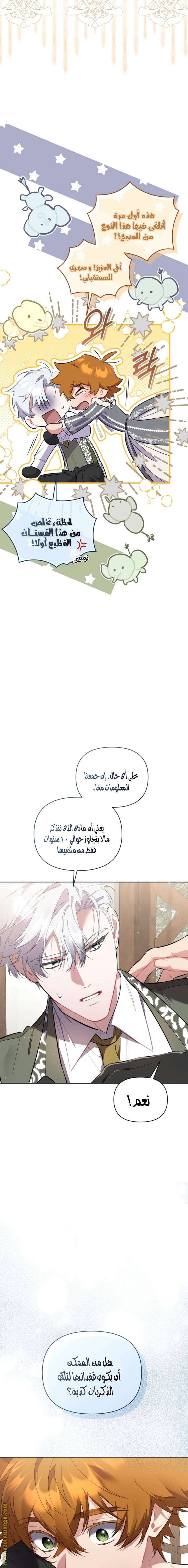 الصفحة 14
