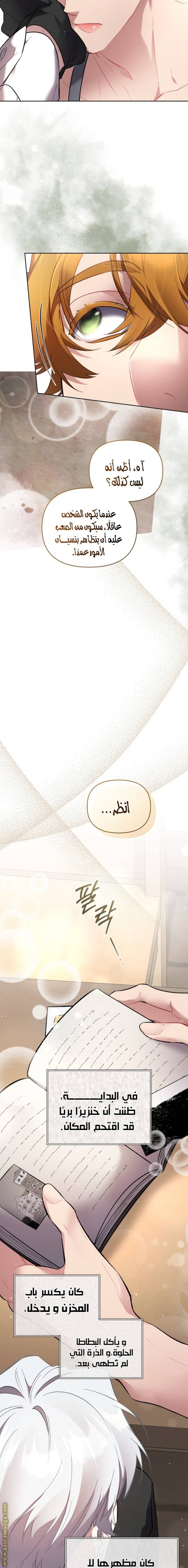 الصفحة 15
