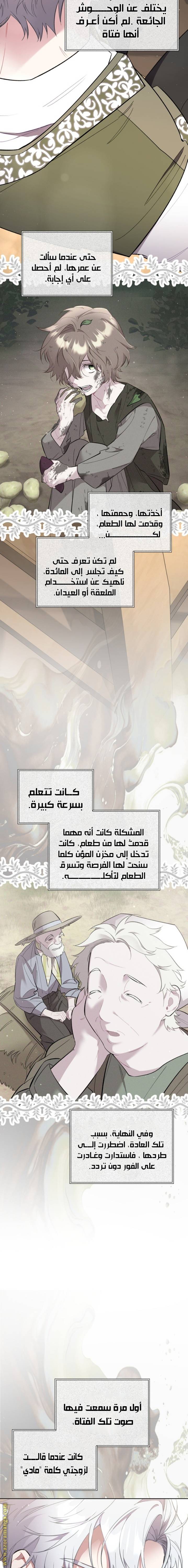 الصفحة 16