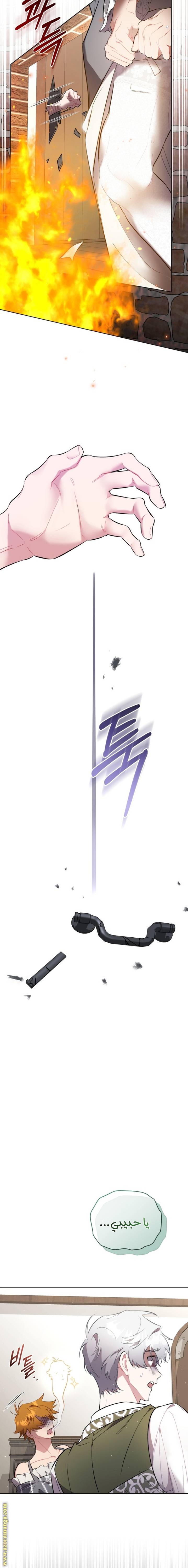الصفحة 19