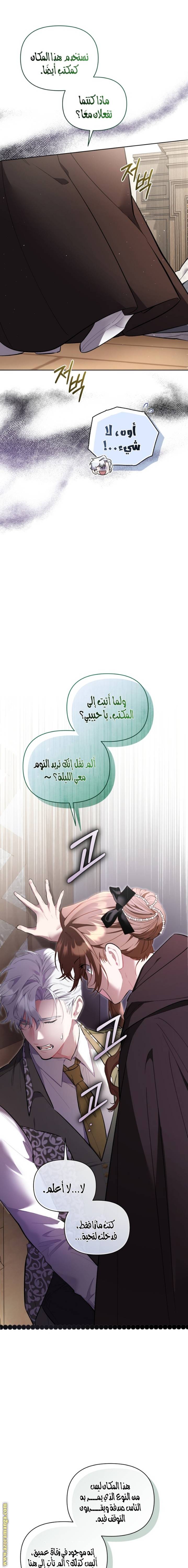 الصفحة 21