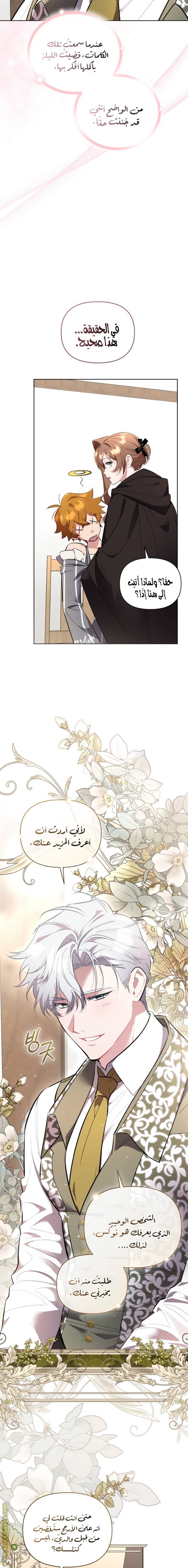 الصفحة 25