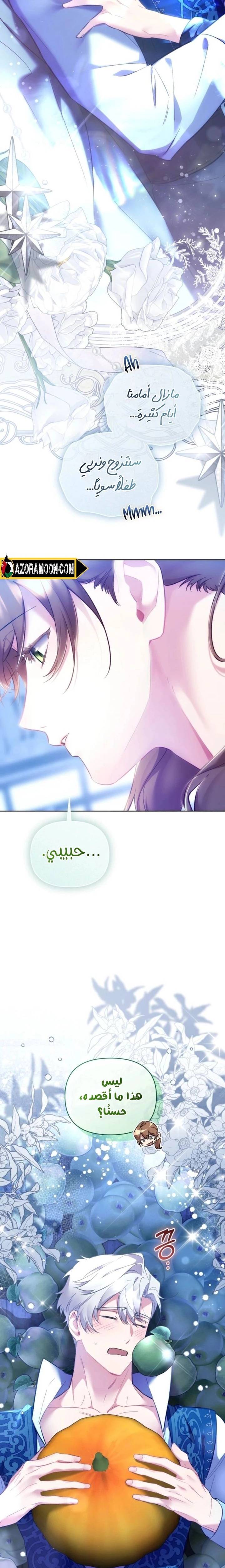 الصفحة 21