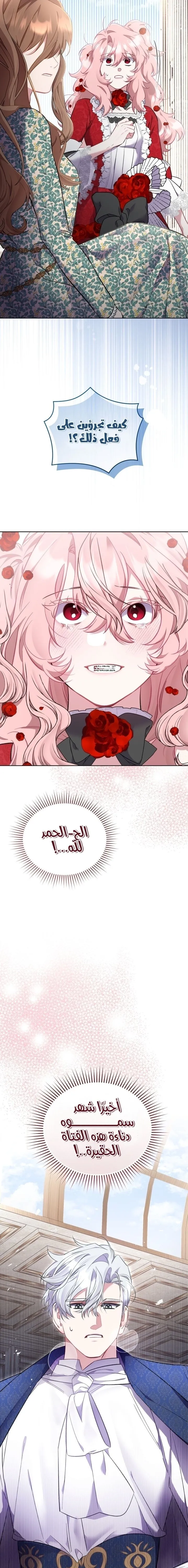 الصفحة 22