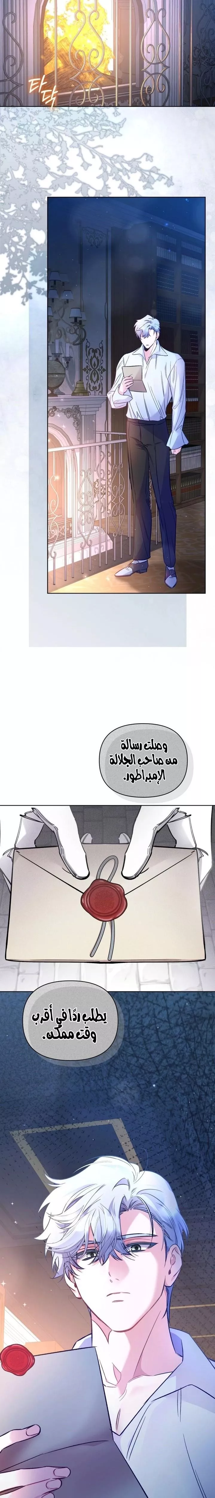 الصفحة 11