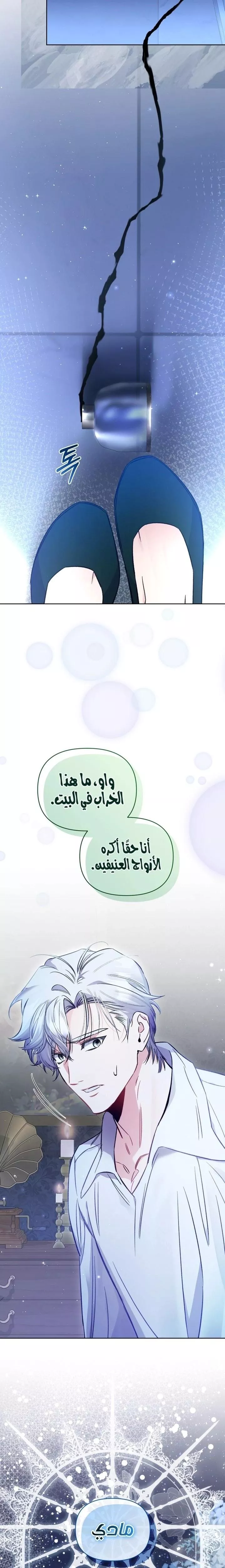 الصفحة 18
