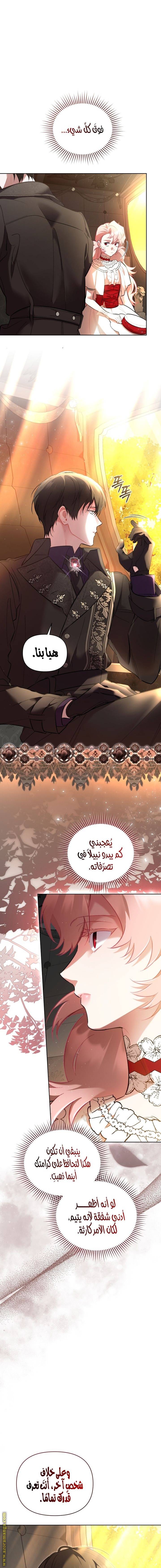 الصفحة 11