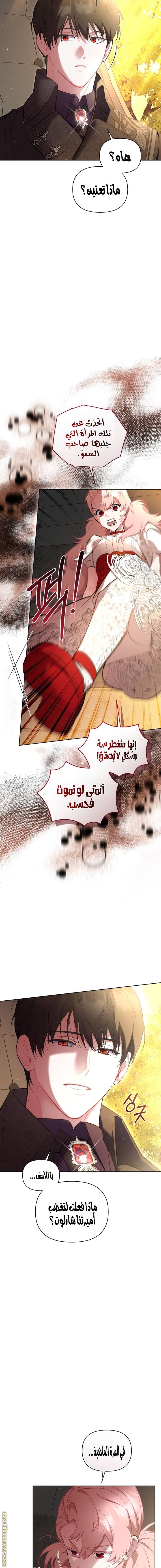 الصفحة 12