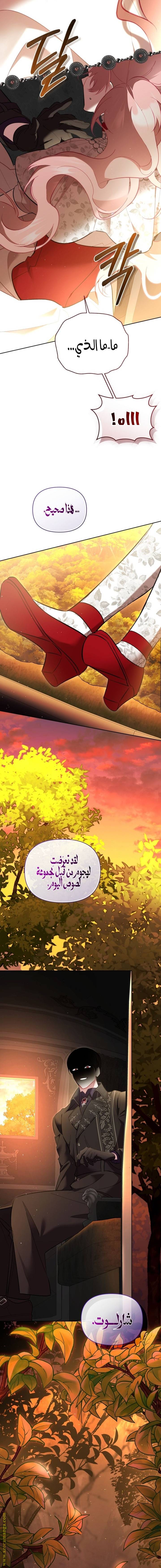 الصفحة 18