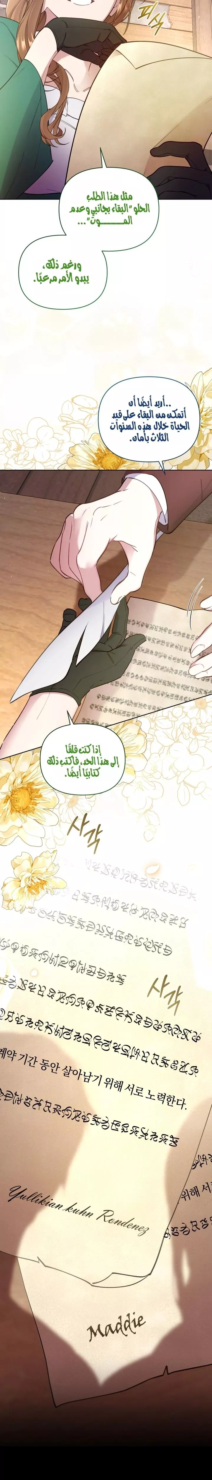 الصفحة 15