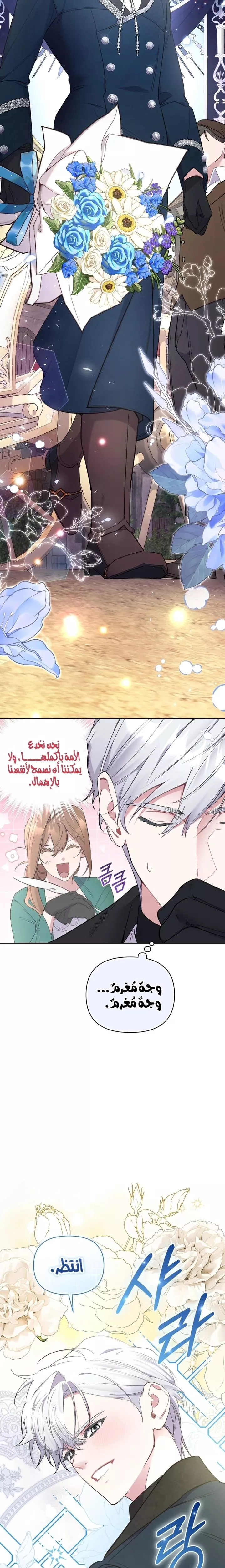 الصفحة 24