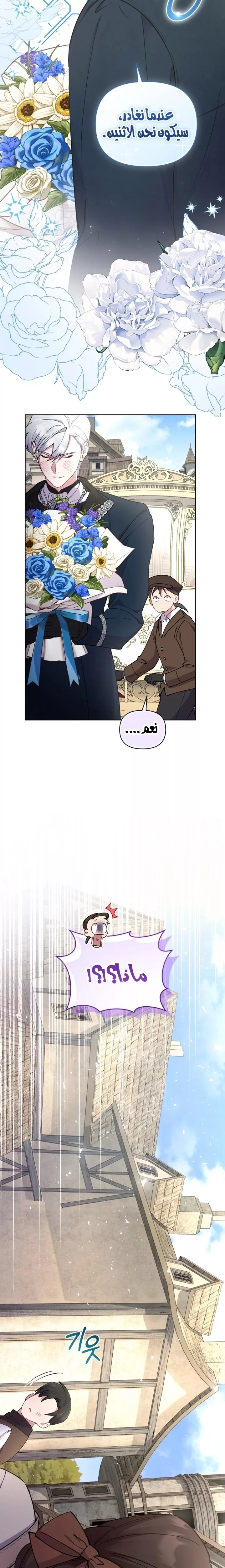 الصفحة 25