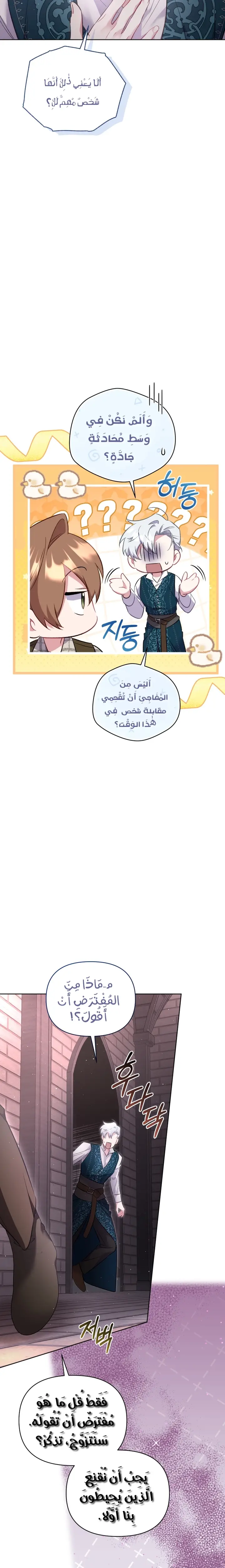 الصفحة 19