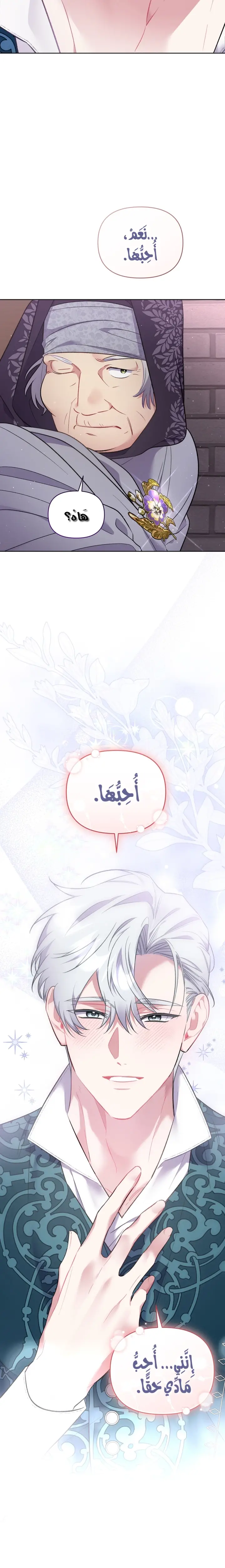 الصفحة 26