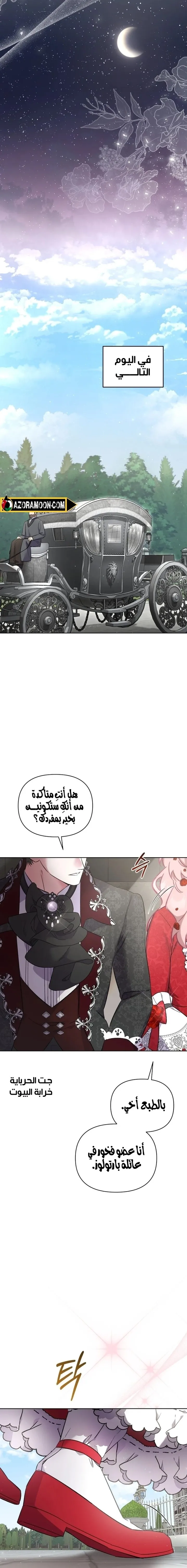 الصفحة 19