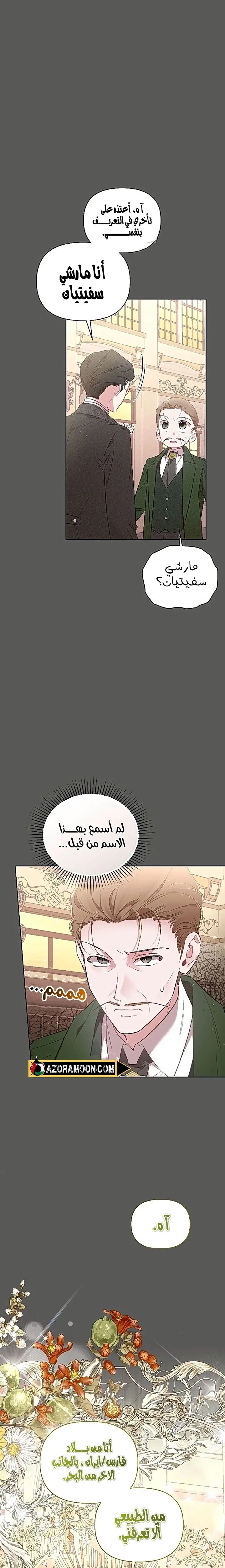 الصفحة 20