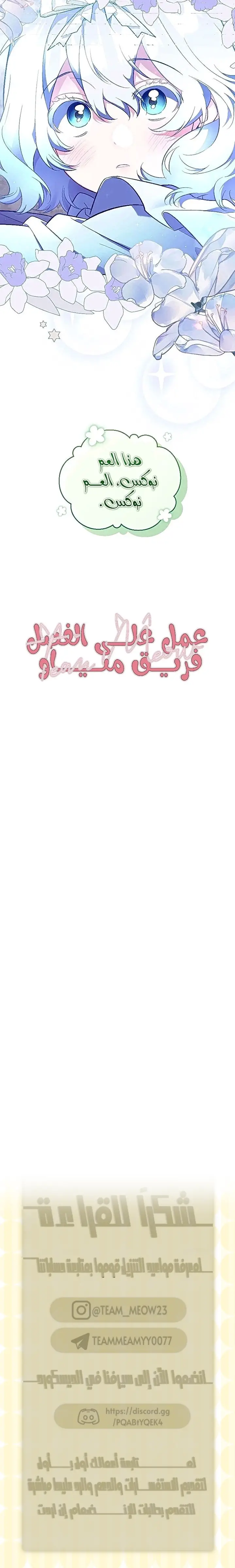 الصفحة 29