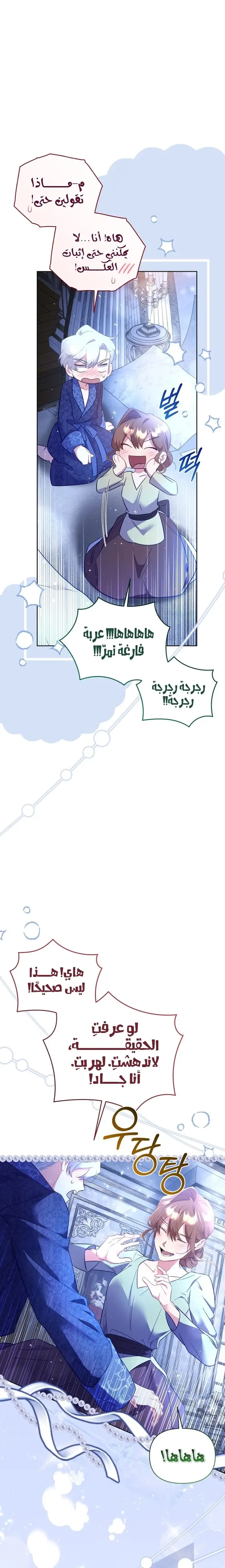 الصفحة 25