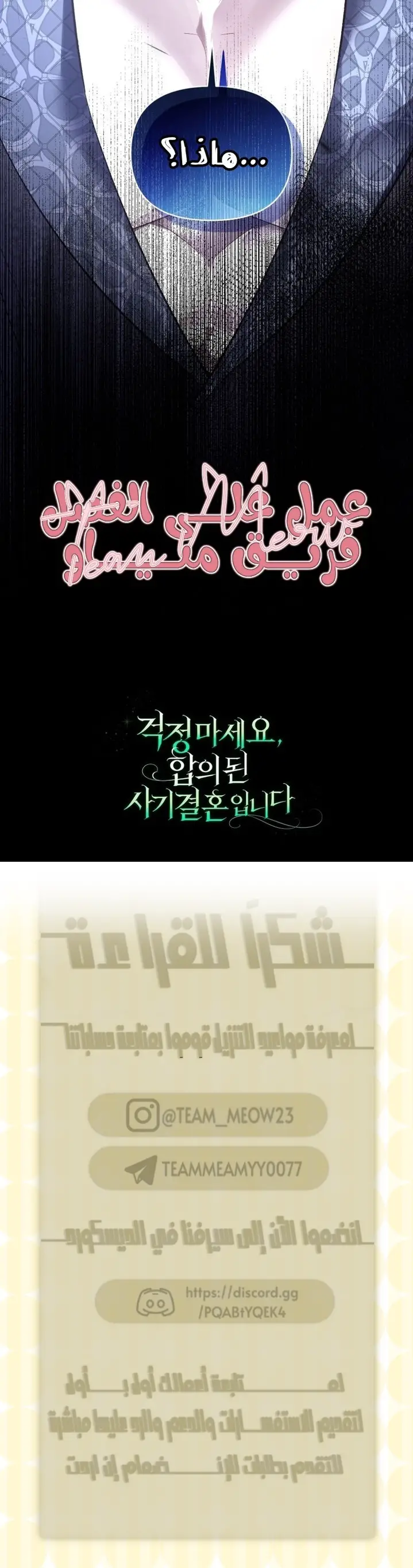 الصفحة 29