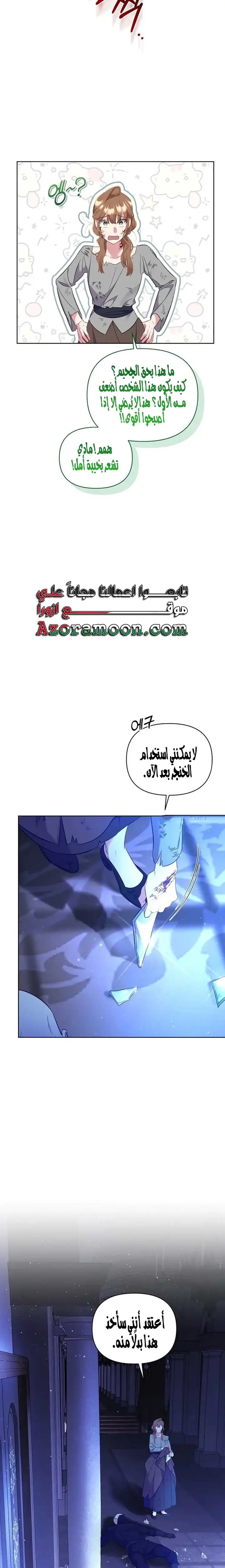 الصفحة 26