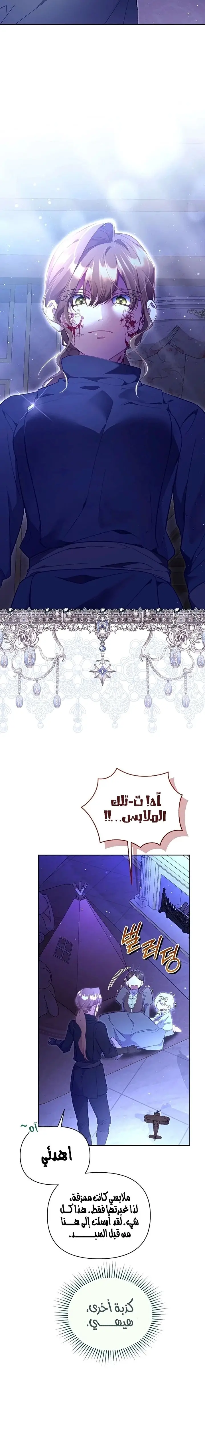 الصفحة 17